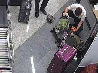 Moscow airport luggage search