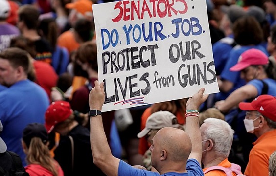 protect our lives from guns
