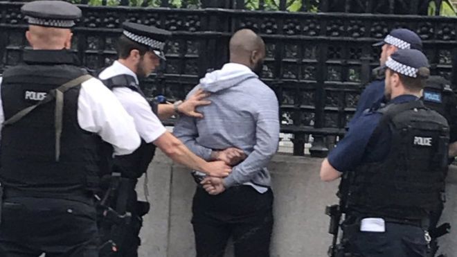 Westminster Palace Arrest