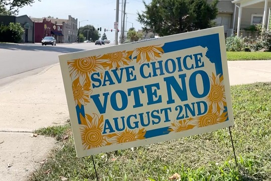 Primary election and abortion referendum in Kansas