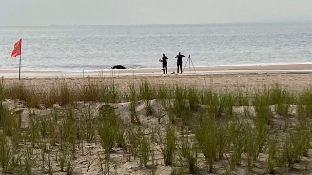 Coney Island beach children drownings