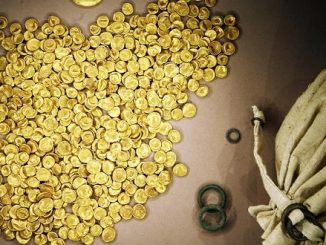stolen gold coins