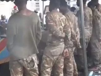 DR Congo cowardice soldiers