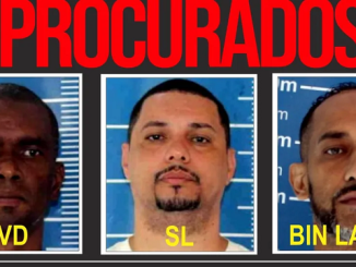 Brazil Xmas release fugitives