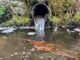 sewage discharge into river