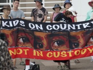 Australia Northern Territory parliament protest