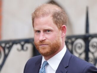 Prince Harry the Duke of Sussex