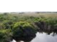 Florida Everglades