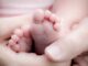 newborn baby