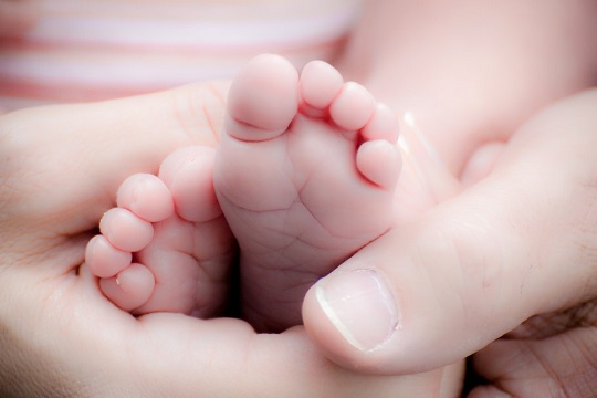 newborn baby newborn baby