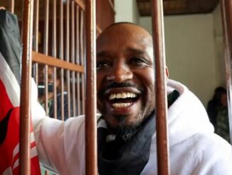 Boniface Mwangi