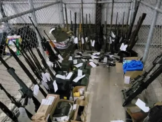 Canada seized firearms Jan 2024