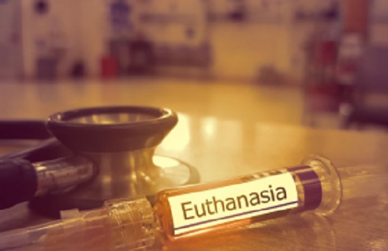 euthanasia