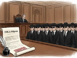 DMCA subpoena exposing domain operators granted