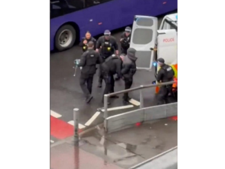 Heathrow pepper spray arrest