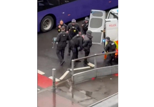 Heathrow pepper spray arrest