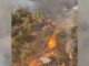 Nigeria Kogi state forested area in flames