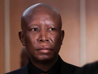 Julius Malema sentencing