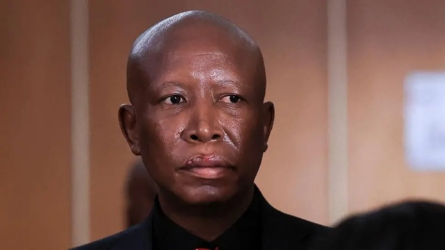 Julius Malema sentencing