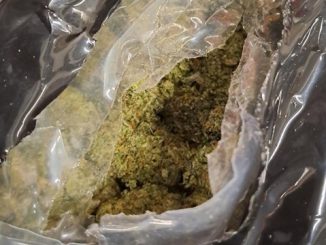 cannabis package found in shipping container