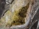 cannabis package found in shipping container