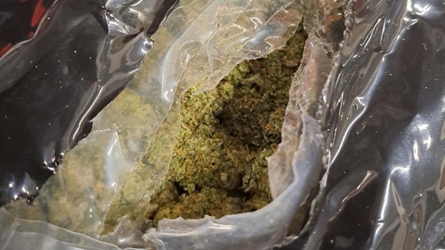 cannabis package found in shipping container