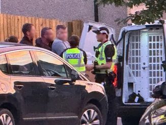 Steven 'Bonzo' Daniel arrest