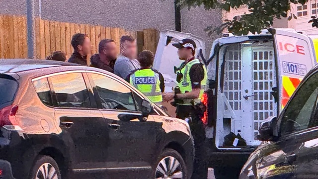 Steven 'Bonzo' Daniel arrest