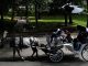 horse drawn carriage in central park