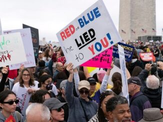 Trump protest at Washington Monument