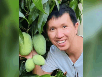 Thanh Phan